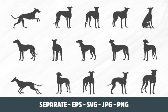 Greyhound Svg: A Silhouette for Purpose