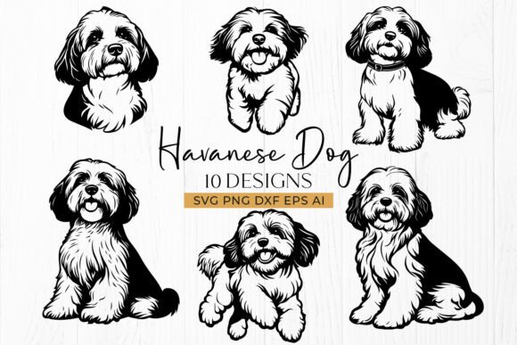 Havanese Dog SVG Bundle – Dog Silhouette