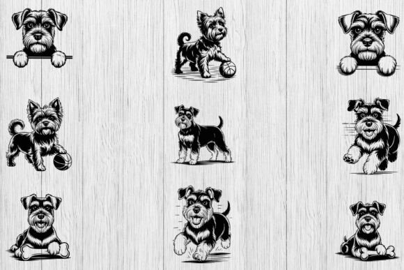 Miniature Schnauzer Design