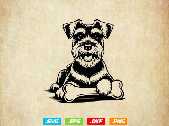 Miniature Schnauzer Vector