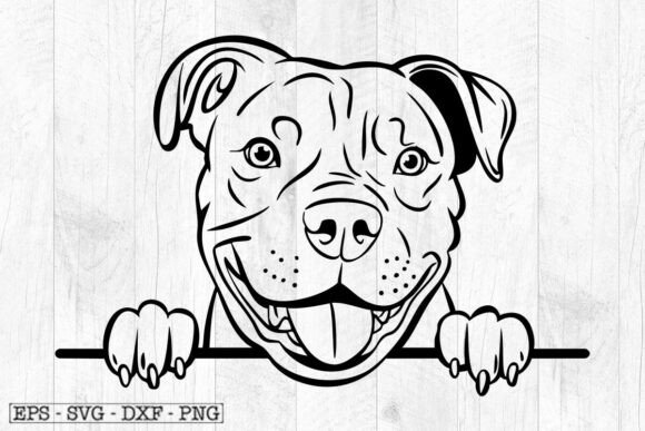 Pitbull Svg for Real Projects