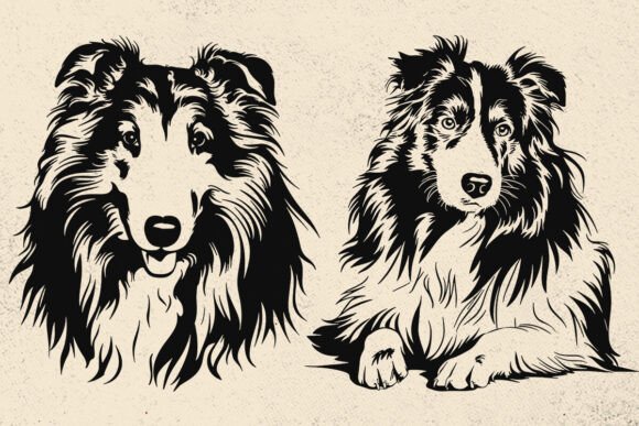 Shetland Sheepdog Svg, Rough Collie Svg